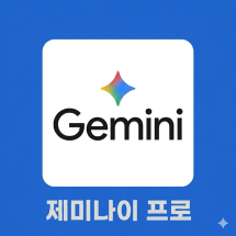 제미나이 프로 Gemini Pro 12개월, 1년