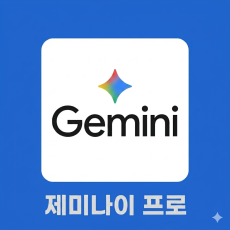 제미나이 프로 Gemini Pro 12개월, 1년